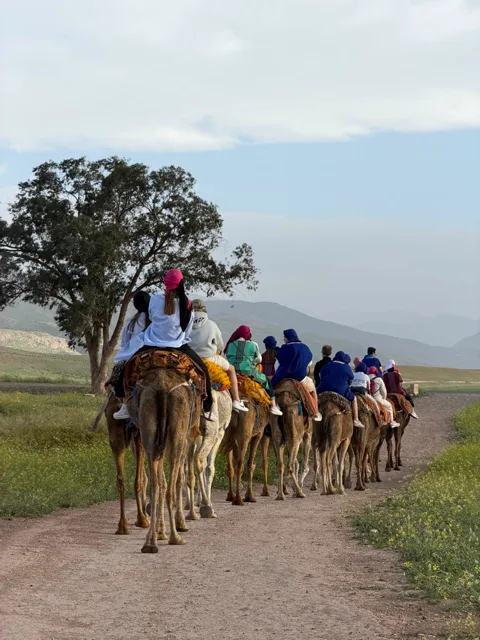 Camel ride — Agafay — 6
