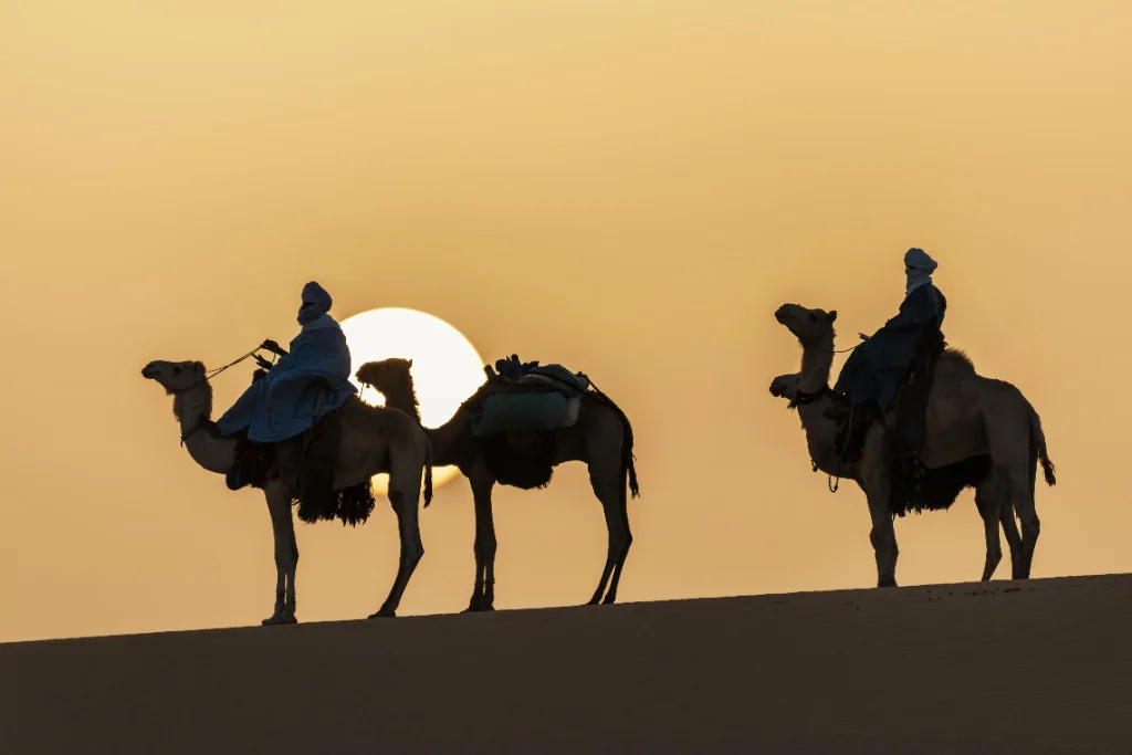 Sunset camel ride